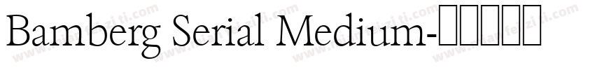 Bamberg Serial Medium字体转换